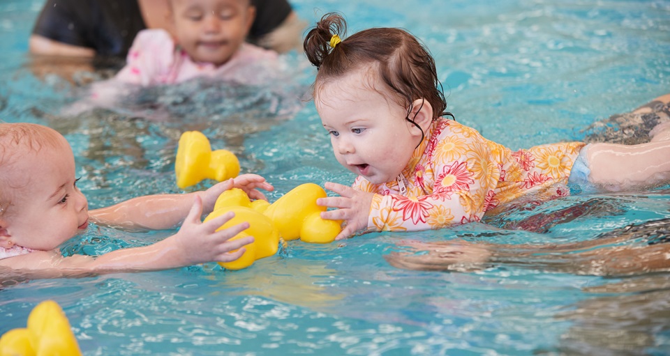 Babies playing with rubber ducks in parent baby swim class